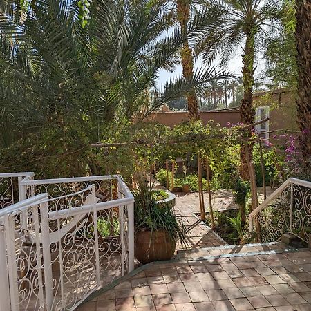 Villa Zagora Ma Villa Au Sahara Eksteriør billede