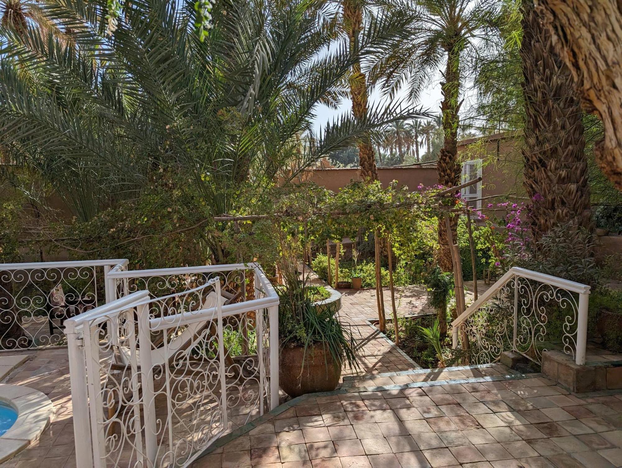 Villa Zagora Ma Villa Au Sahara Eksteriør billede