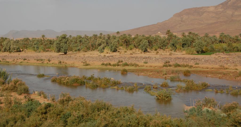 Villa Zagora Ma Villa Au Sahara Eksteriør billede