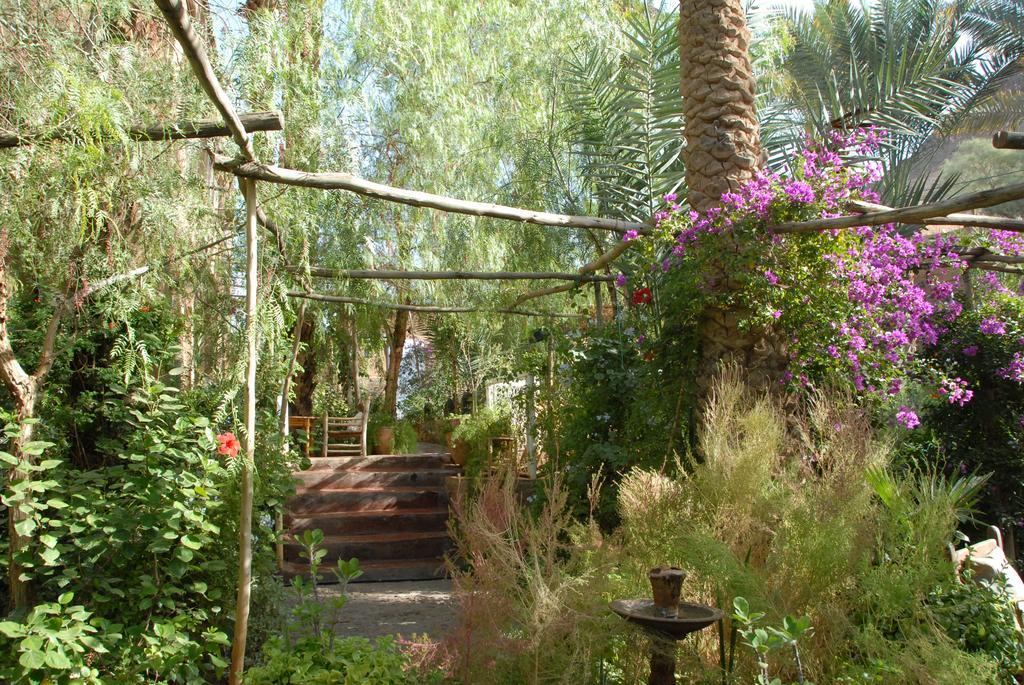 Villa Zagora Ma Villa Au Sahara Eksteriør billede