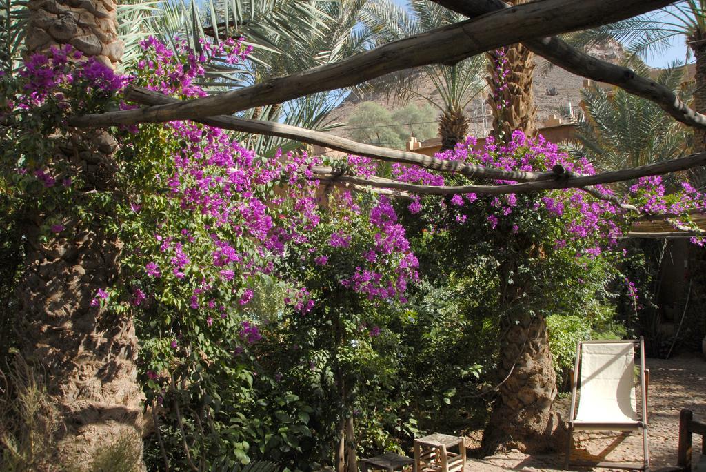 Villa Zagora Ma Villa Au Sahara Eksteriør billede