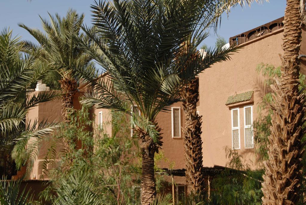 Villa Zagora Ma Villa Au Sahara Eksteriør billede