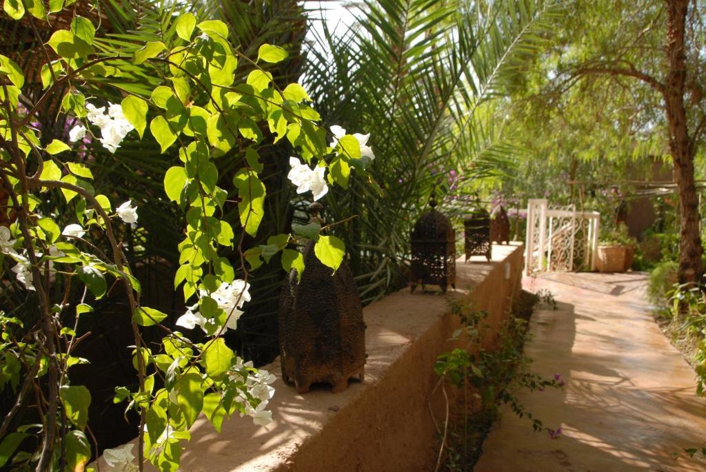 Villa Zagora Ma Villa Au Sahara Eksteriør billede