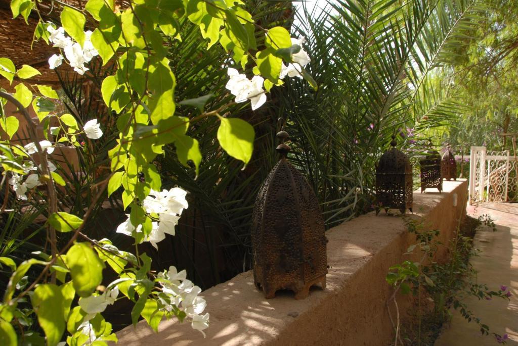 Villa Zagora Ma Villa Au Sahara Eksteriør billede